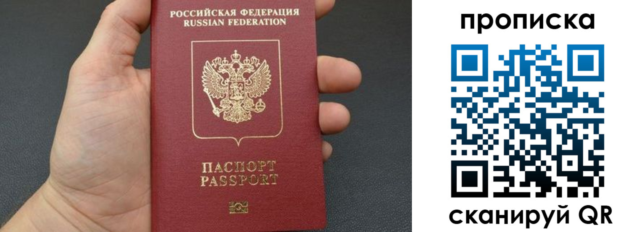 временная прописка в Зернограде